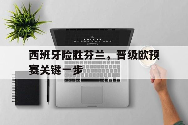 西班牙险胜芬兰，晋级欧预赛关键一步的简单介绍